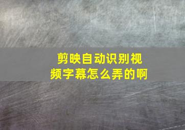 剪映自动识别视频字幕怎么弄的啊