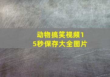 动物搞笑视频15秒保存大全图片