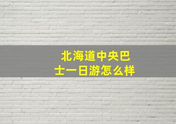 北海道中央巴士一日游怎么样