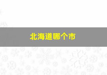 北海道哪个市