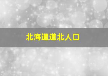 北海道道北人口