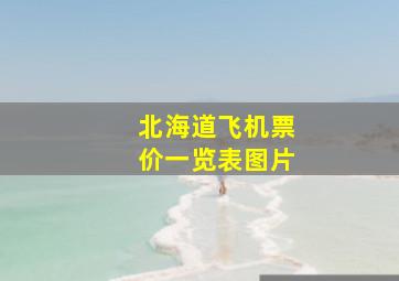 北海道飞机票价一览表图片