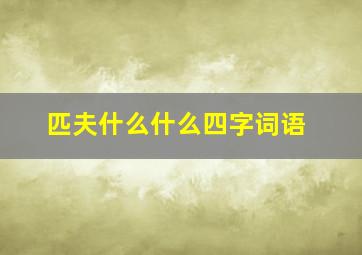 匹夫什么什么四字词语