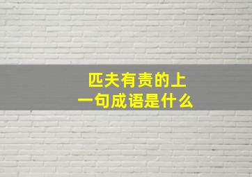 匹夫有责的上一句成语是什么