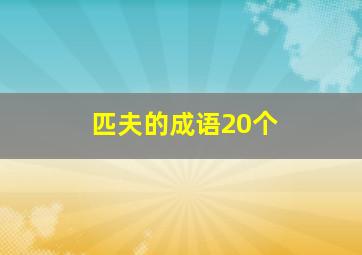 匹夫的成语20个