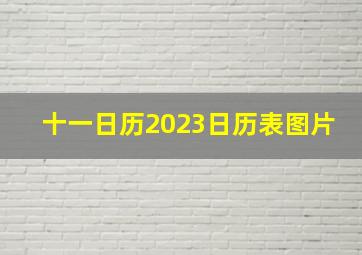 十一日历2023日历表图片