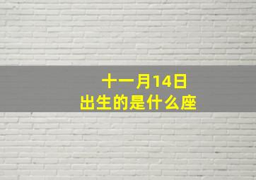 十一月14日出生的是什么座