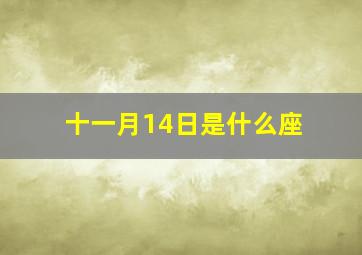 十一月14日是什么座