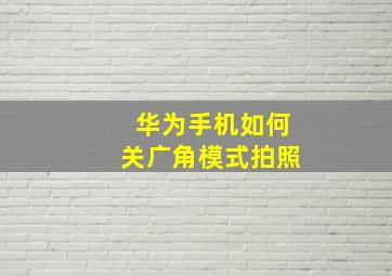 华为手机如何关广角模式拍照