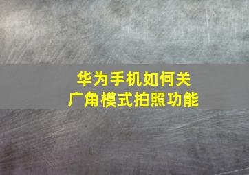 华为手机如何关广角模式拍照功能