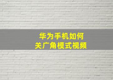 华为手机如何关广角模式视频