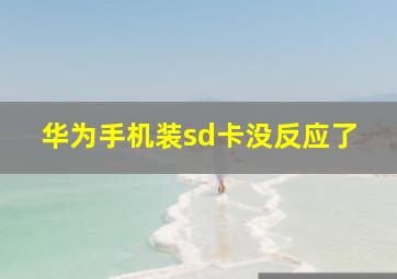 华为手机装sd卡没反应了