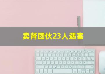 卖肾团伙23人遇害