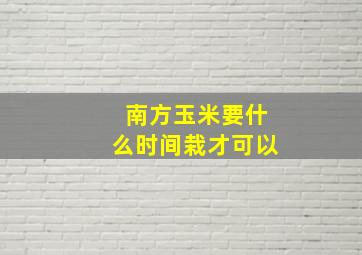 南方玉米要什么时间栽才可以