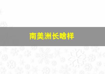 南美洲长啥样