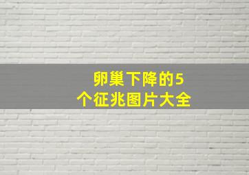 卵巢下降的5个征兆图片大全