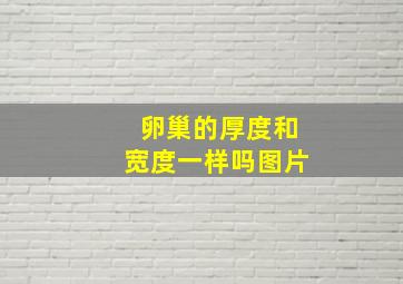 卵巢的厚度和宽度一样吗图片