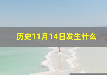 历史11月14日发生什么