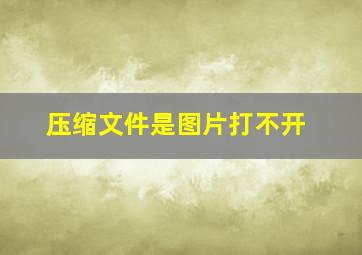 压缩文件是图片打不开