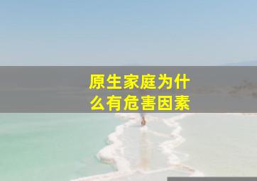 原生家庭为什么有危害因素