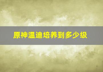 原神温迪培养到多少级