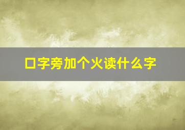 口字旁加个火读什么字