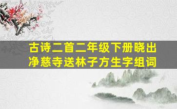 古诗二首二年级下册晓出净慈寺送林子方生字组词