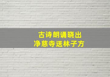 古诗朗诵晓出净慈寺送林子方