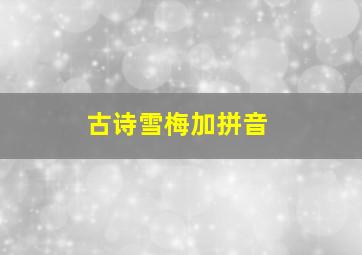 古诗雪梅加拼音