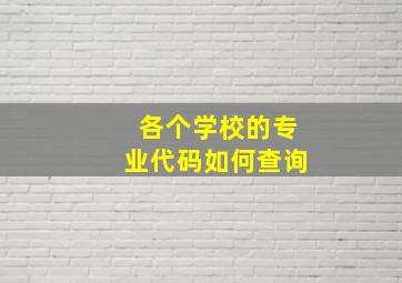 各个学校的专业代码如何查询