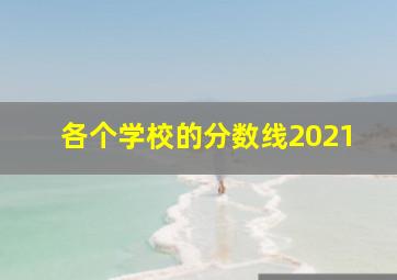 各个学校的分数线2021