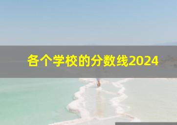 各个学校的分数线2024