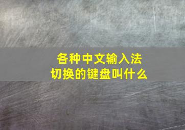 各种中文输入法切换的键盘叫什么