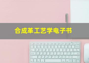 合成革工艺学电子书