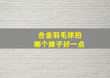 合金羽毛球拍哪个牌子好一点