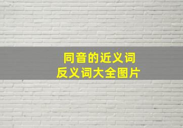 同音的近义词反义词大全图片