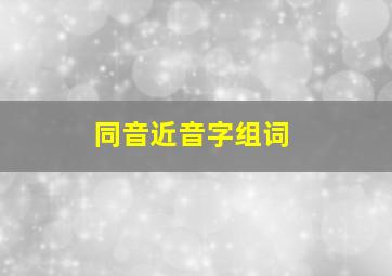 同音近音字组词