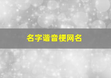 名字谐音梗网名