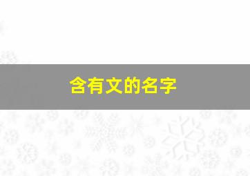 含有文的名字