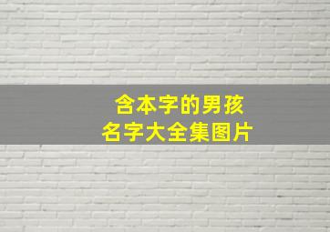 含本字的男孩名字大全集图片