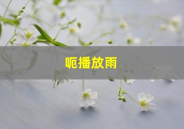 呃播放雨