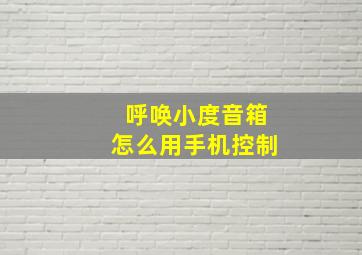 呼唤小度音箱怎么用手机控制