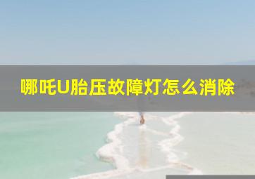 哪吒U胎压故障灯怎么消除