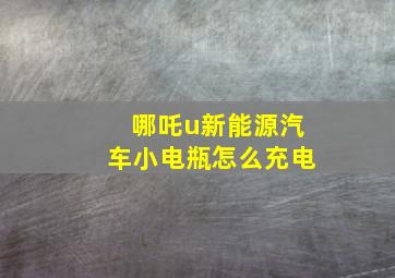 哪吒u新能源汽车小电瓶怎么充电