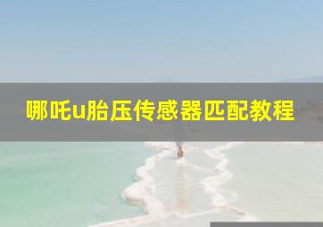 哪吒u胎压传感器匹配教程