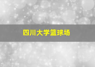 四川大学篮球场