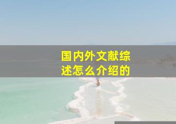 国内外文献综述怎么介绍的