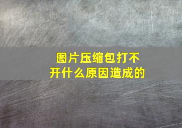 图片压缩包打不开什么原因造成的