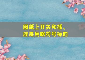 图纸上开关和插、座是用啥符号标的