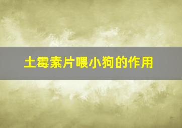 土霉素片喂小狗的作用